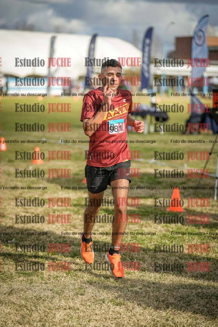Fotos de las llegadas