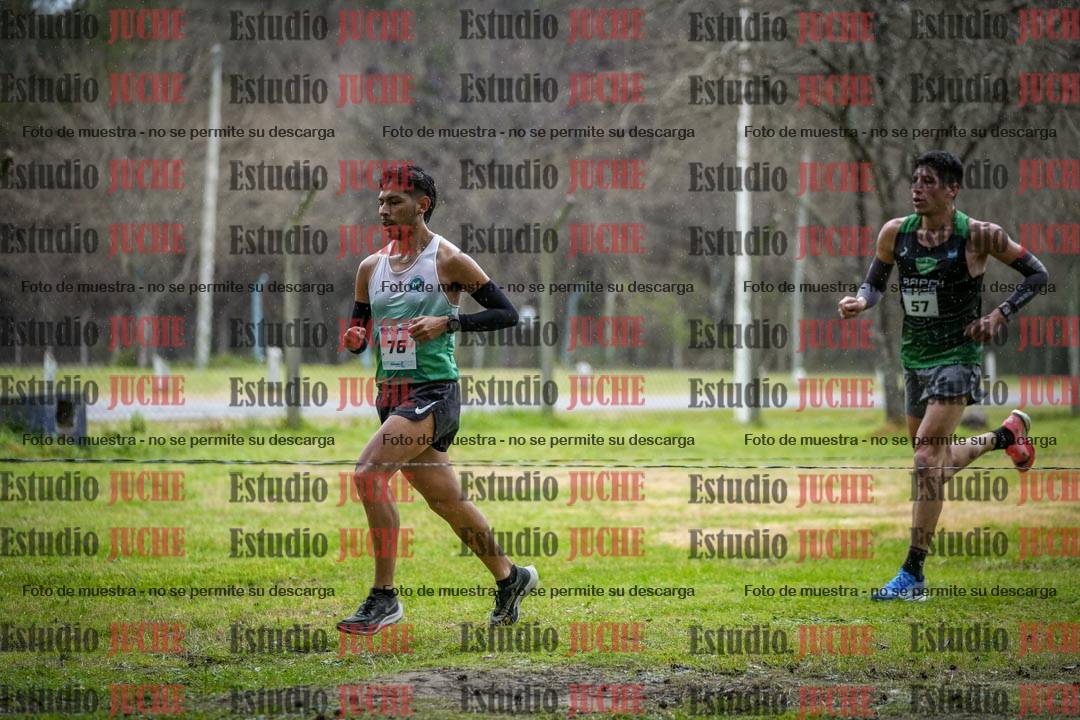 Fotos en el circuito