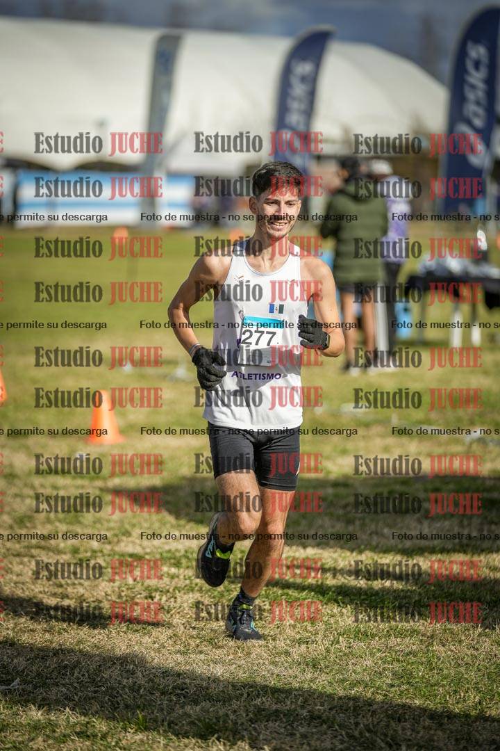 Fotos de las llegadas