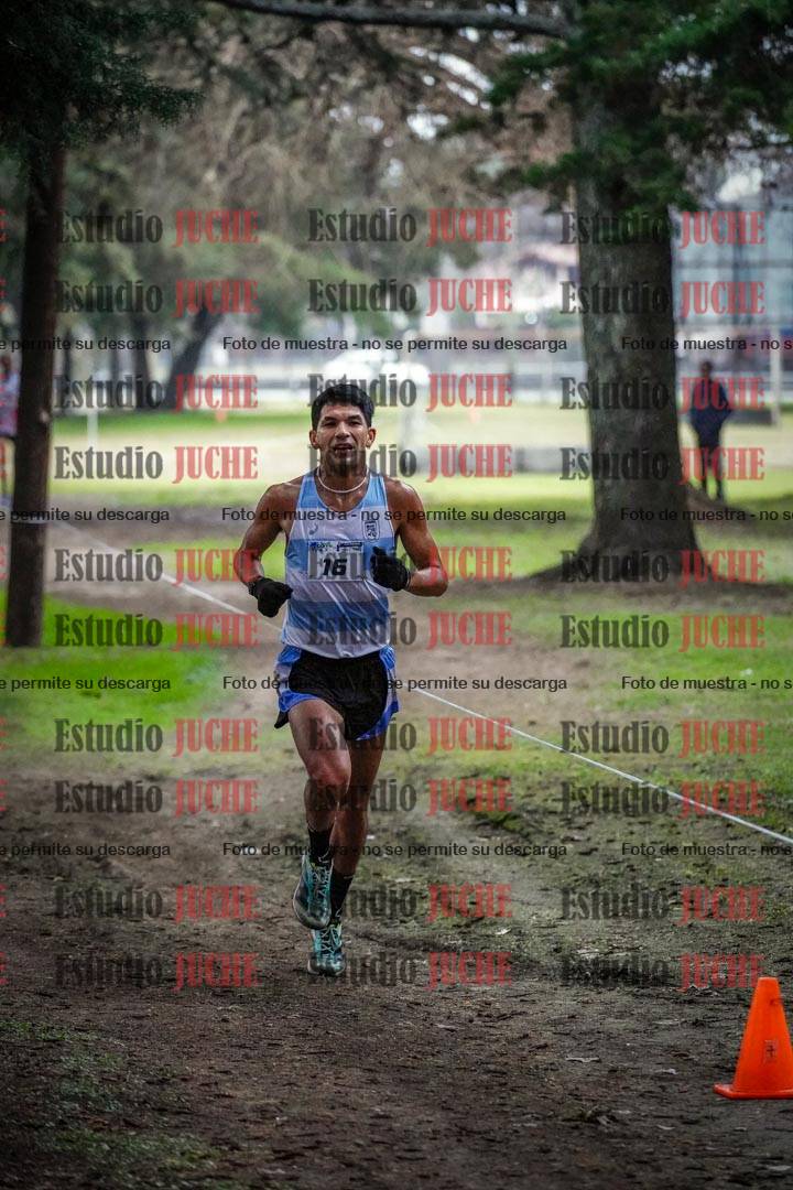Fotos en el circuito