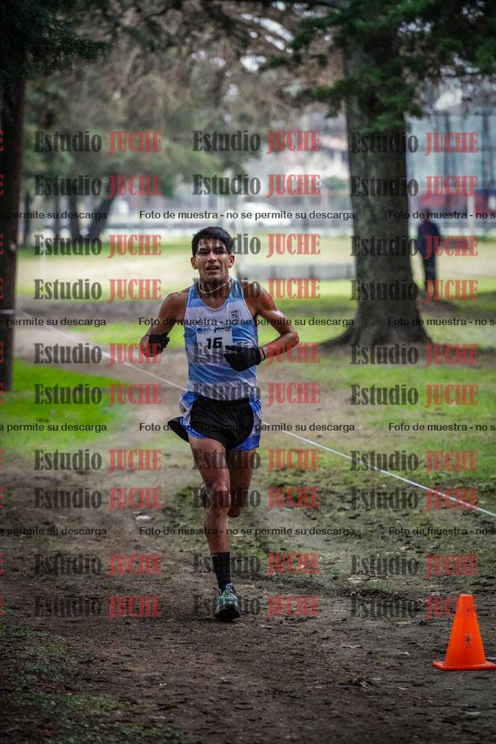 Fotos en el circuito