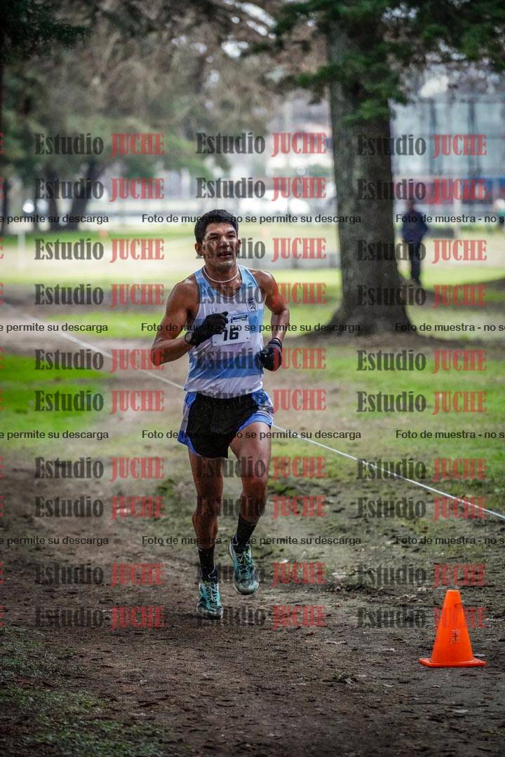 Fotos en el circuito