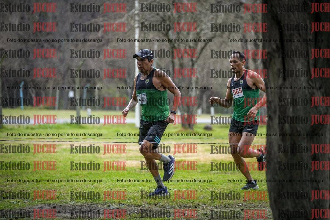 Fotos en el circuito