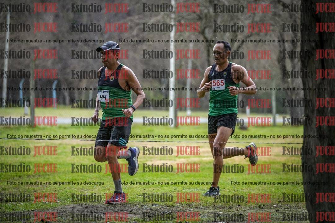 Fotos en el circuito