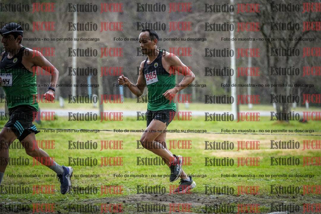 Fotos en el circuito
