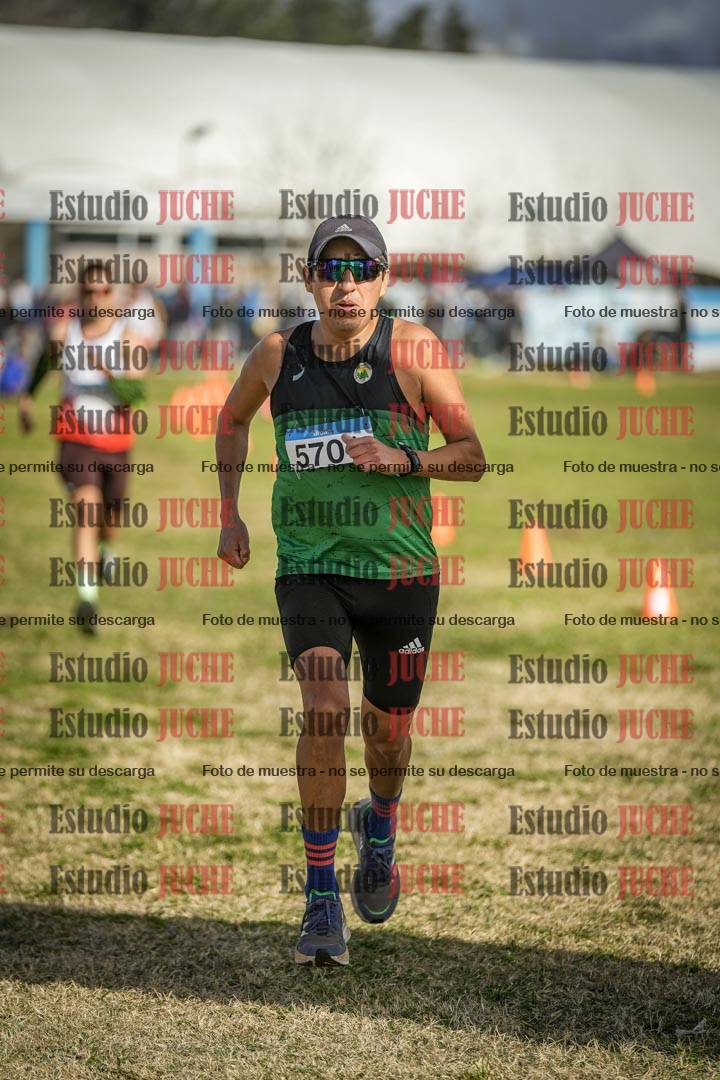 Fotos de las llegadas