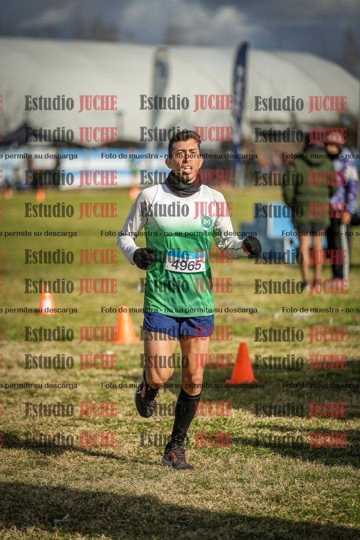 Fotos de las llegadas