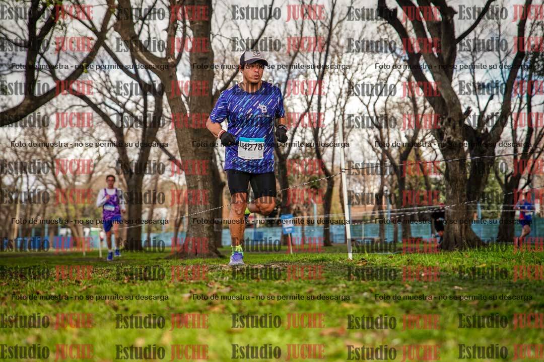 Fotos en el circuito