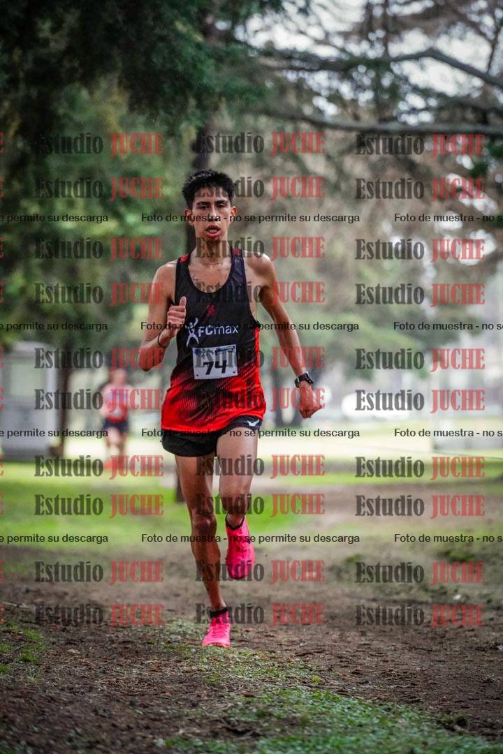 Fotos en el circuito