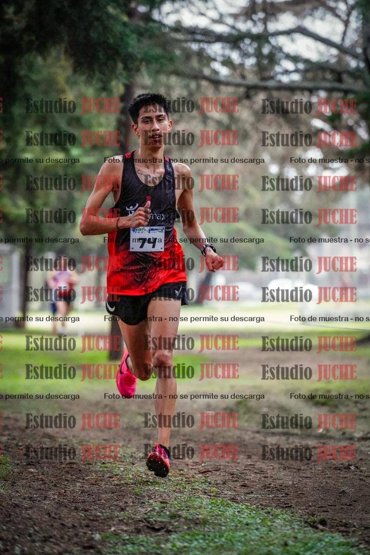 Fotos en el circuito