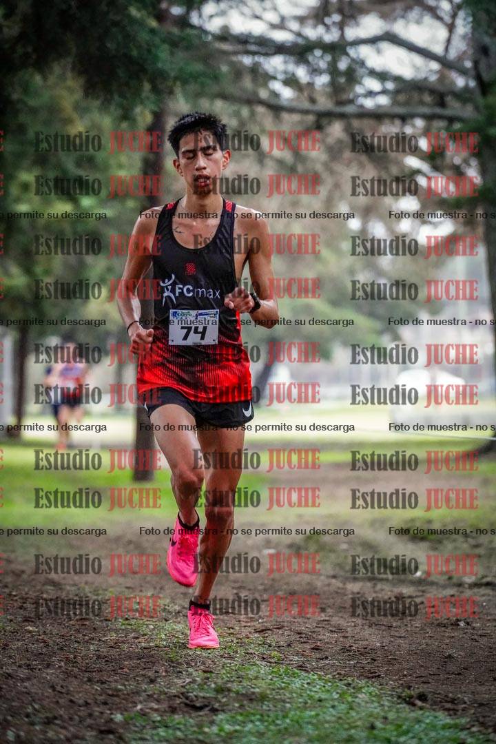 Fotos en el circuito