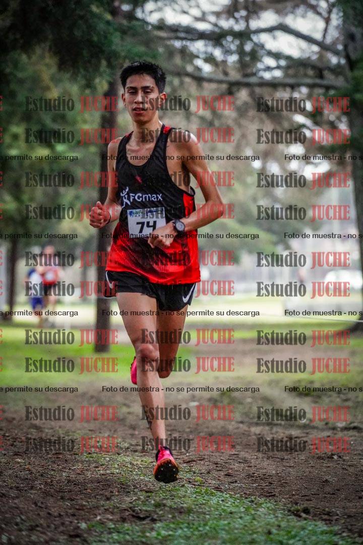 Fotos en el circuito