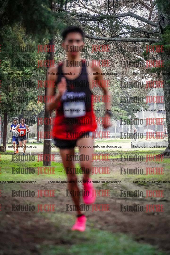 Fotos en el circuito