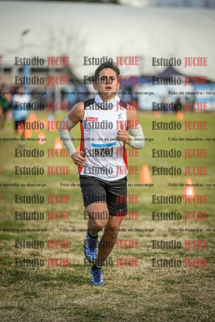 Fotos de las llegadas
