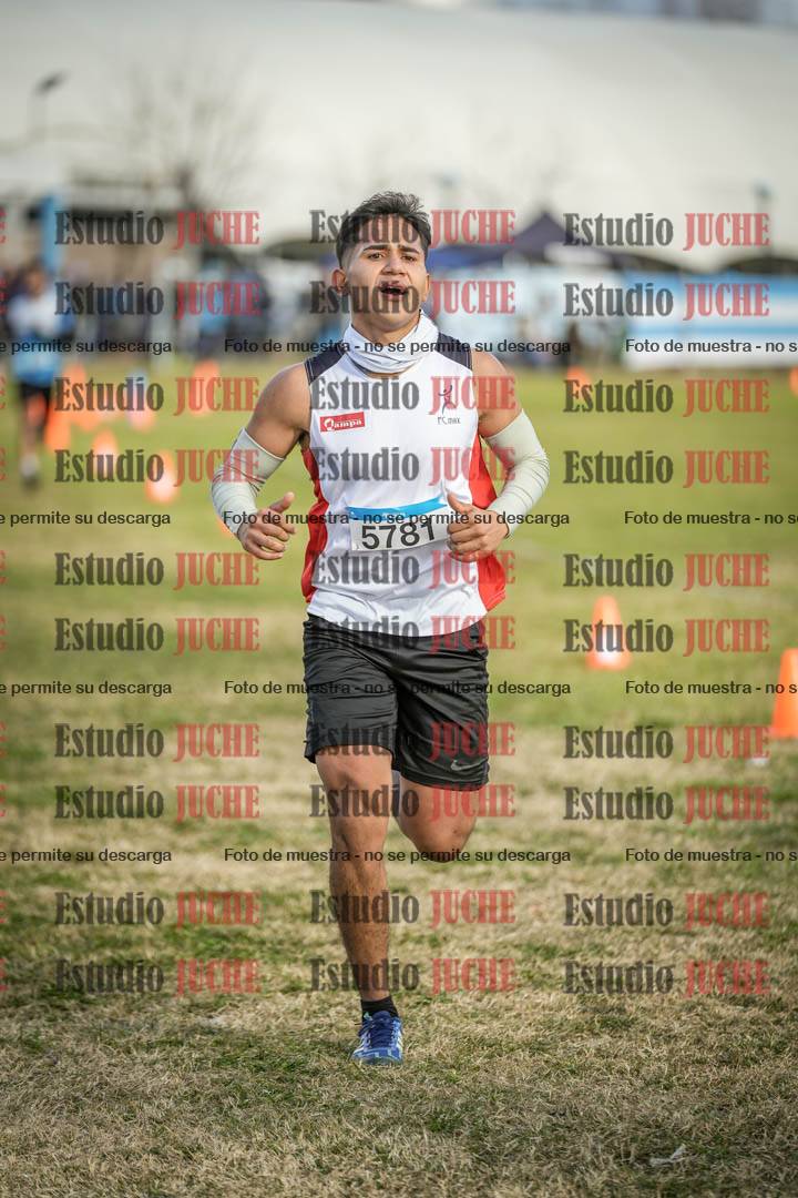 Fotos de las llegadas