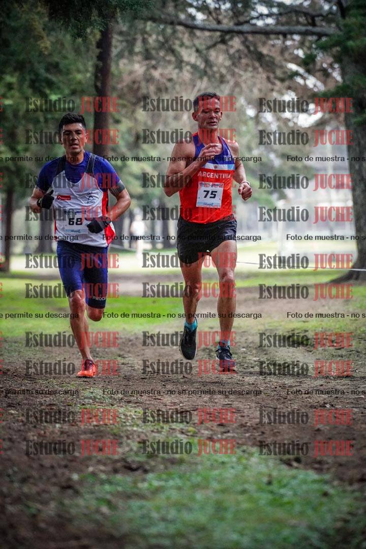 Fotos en el circuito