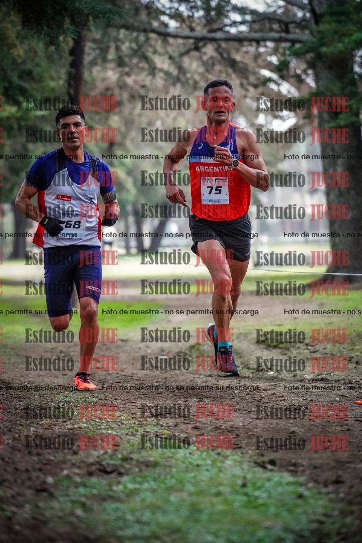 Fotos en el circuito