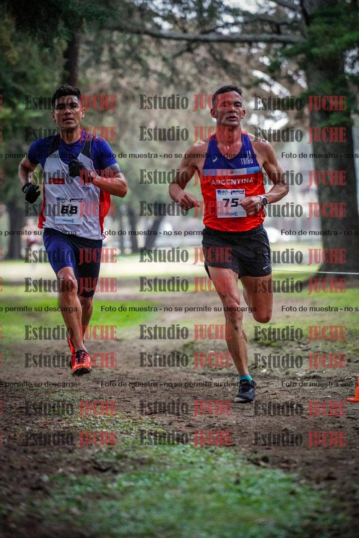 Fotos en el circuito