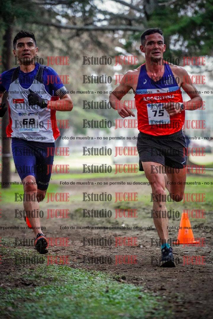 Fotos en el circuito