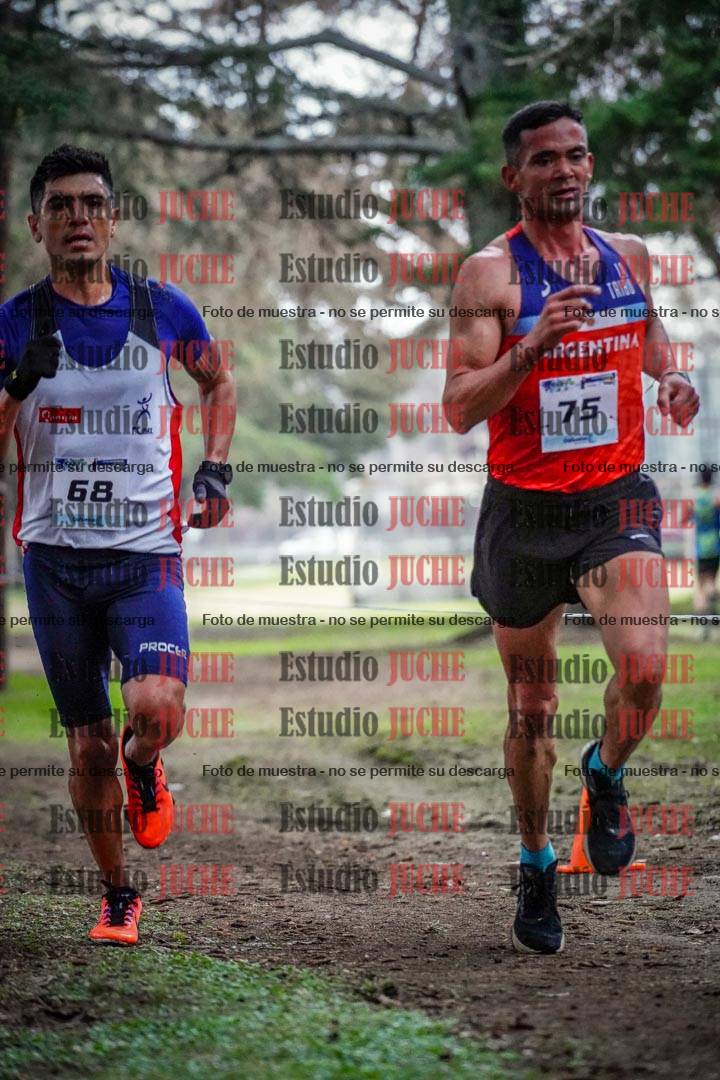 Fotos en el circuito