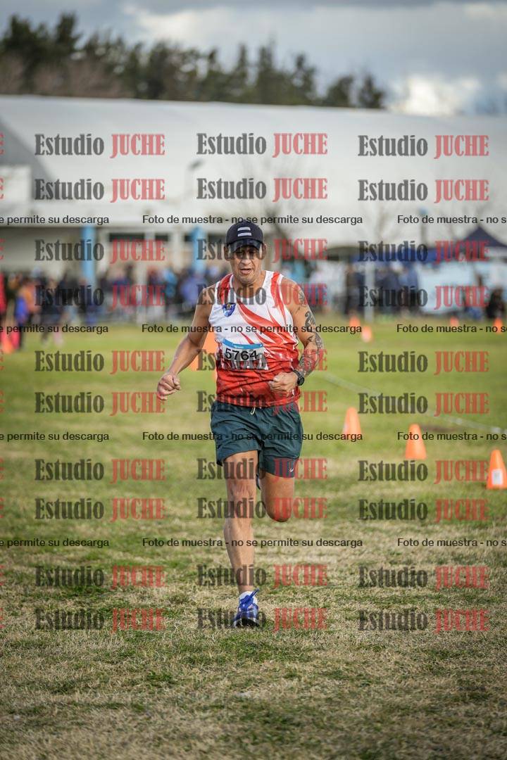 Fotos de las llegadas