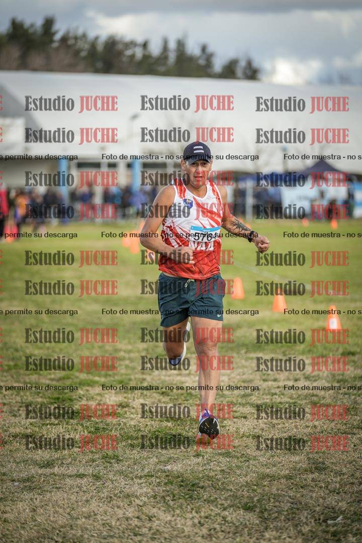 Fotos de las llegadas