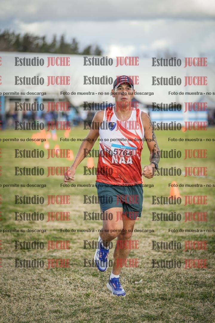 Fotos de las llegadas