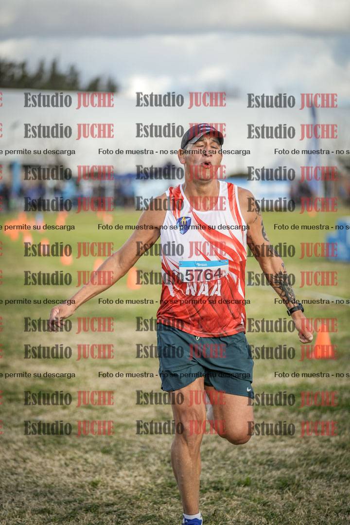 Fotos de las llegadas