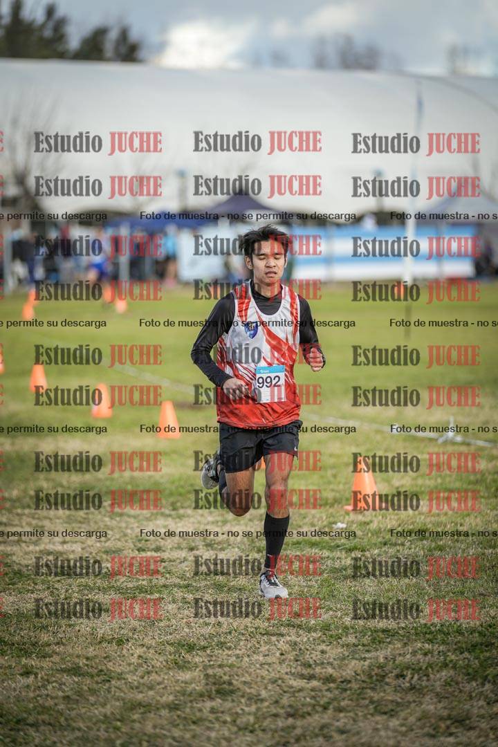 Fotos de las llegadas