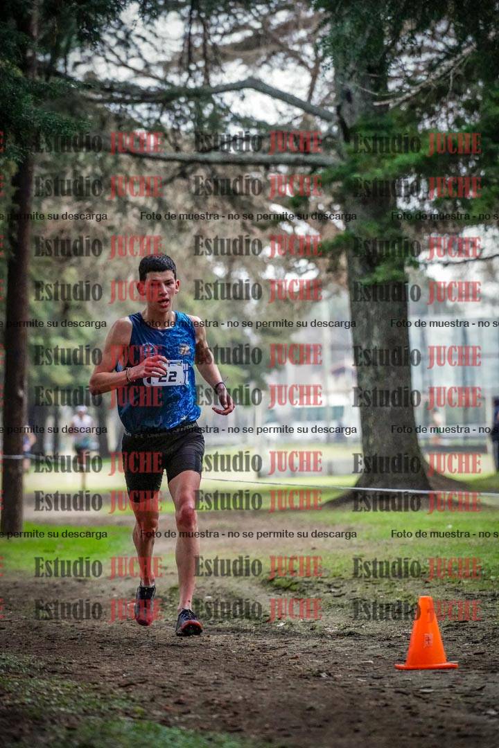 Fotos en el circuito