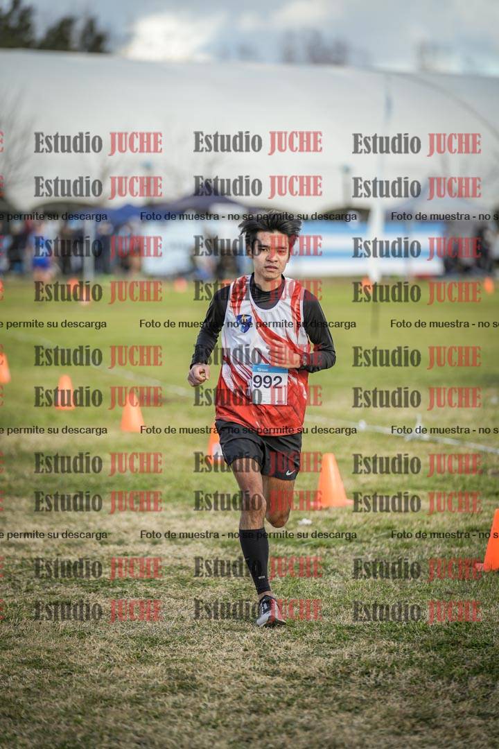 Fotos de las llegadas