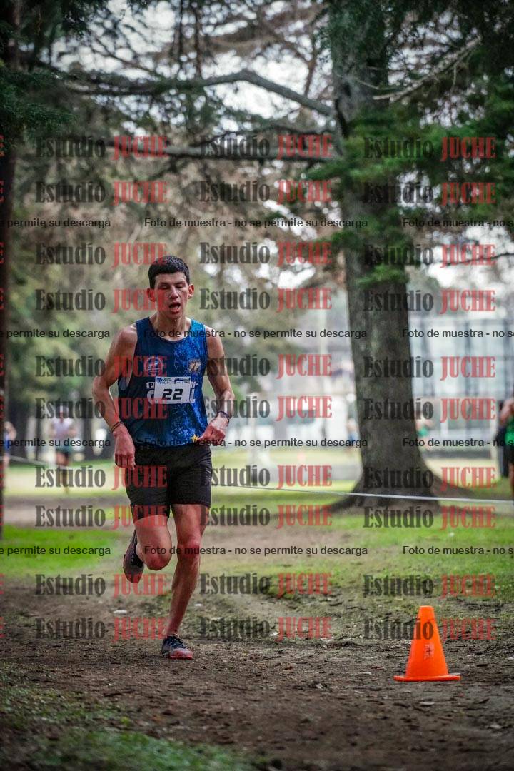 Fotos en el circuito