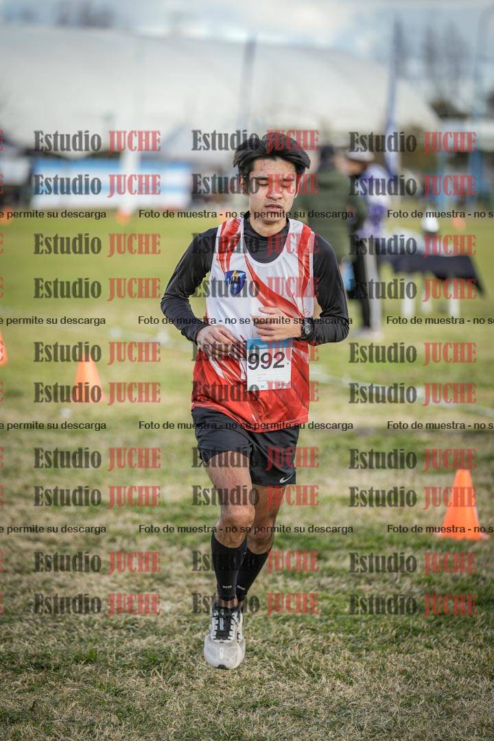 Fotos de las llegadas