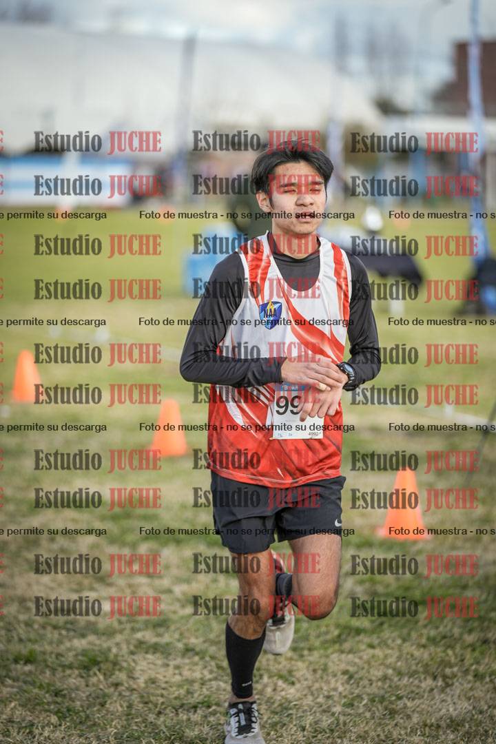 Fotos de las llegadas