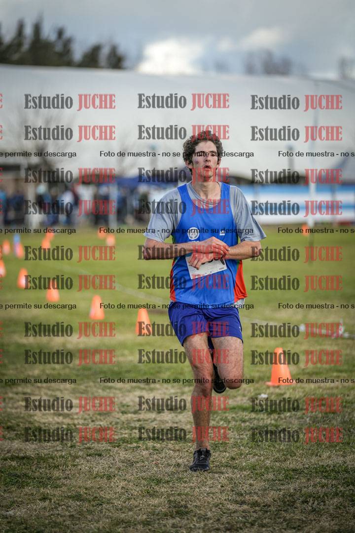 Fotos de las llegadas