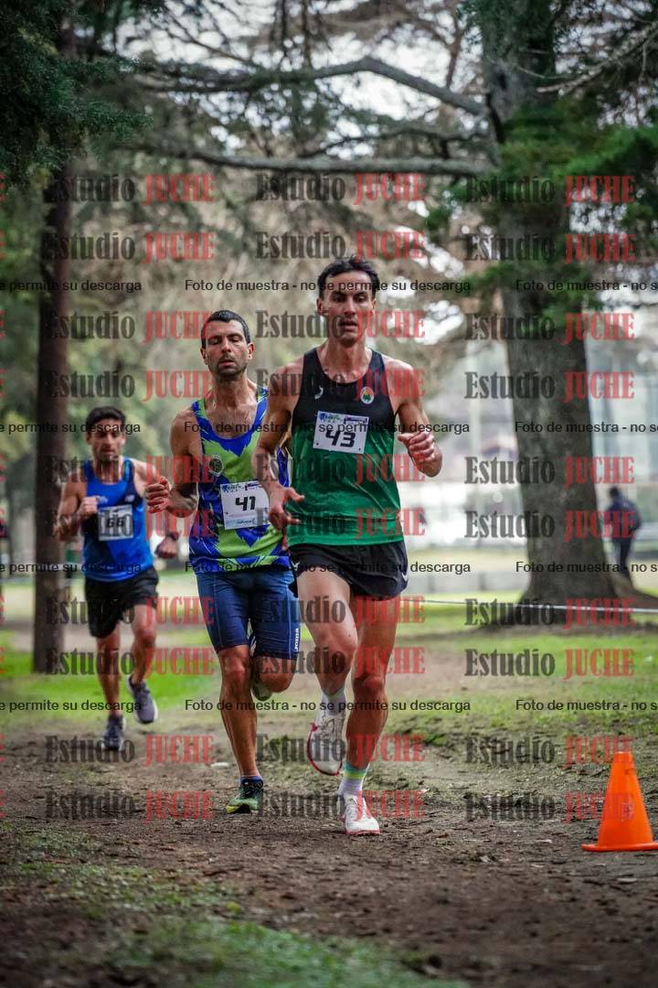 Fotos en el circuito