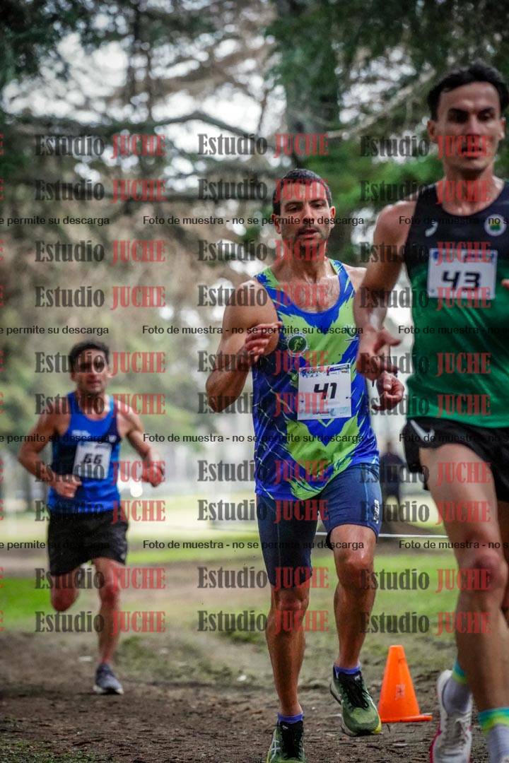 Fotos en el circuito