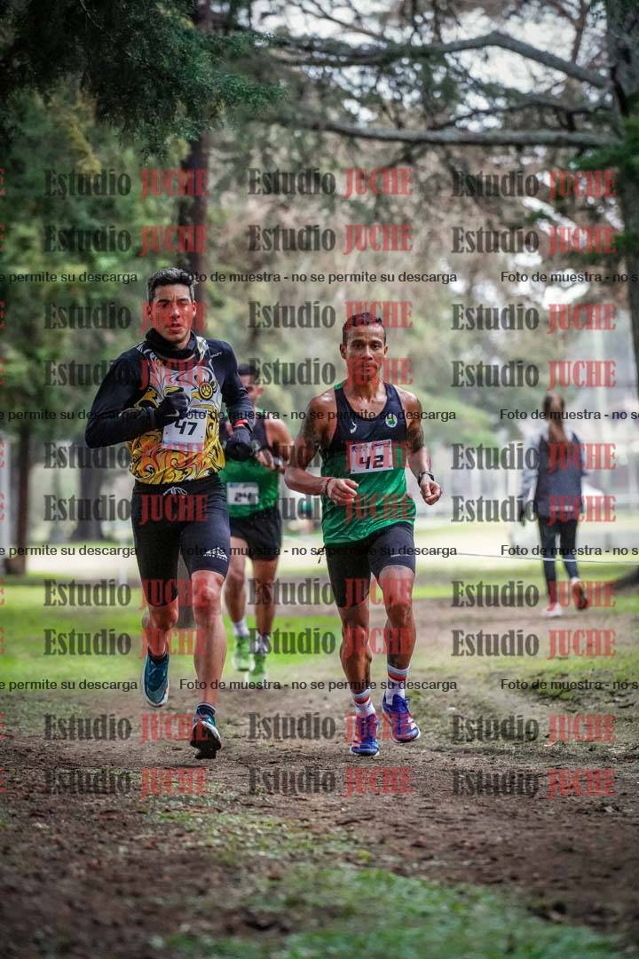Fotos en el circuito