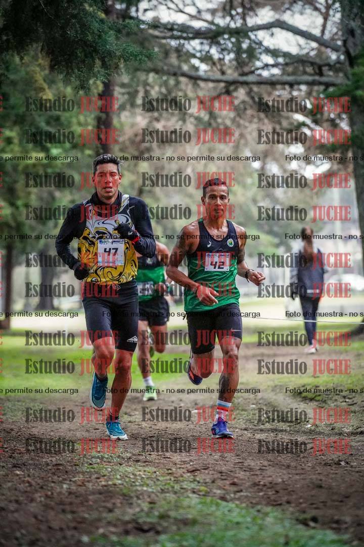 Fotos en el circuito