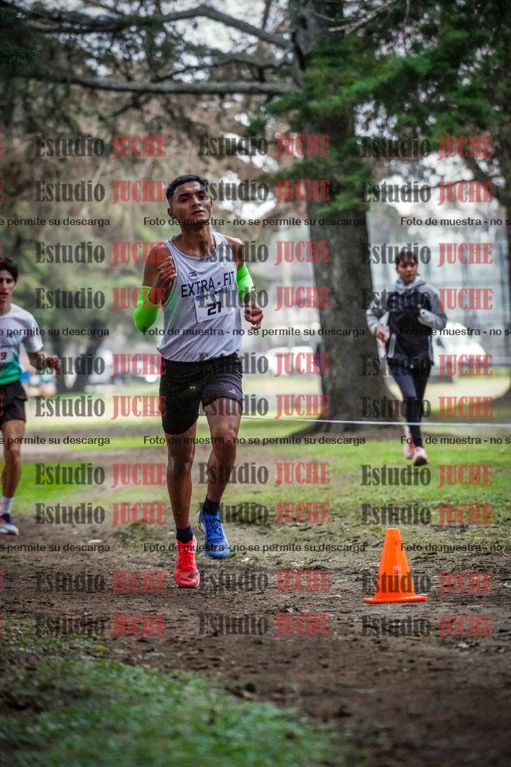 Fotos en el circuito