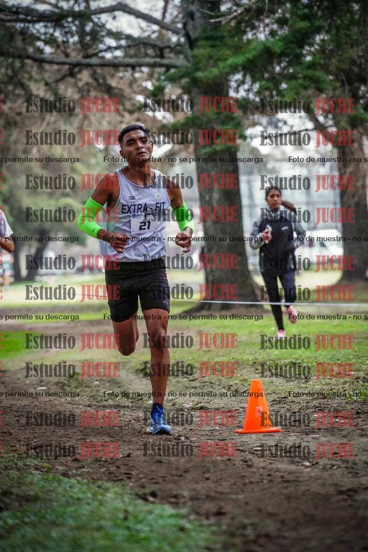 Fotos en el circuito