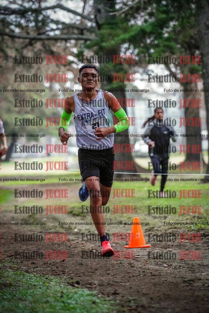 Fotos en el circuito