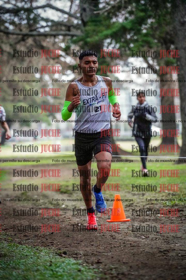 Fotos en el circuito