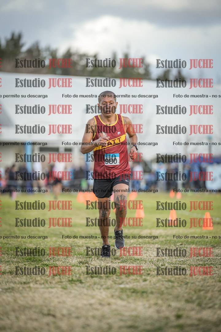 Fotos de las llegadas