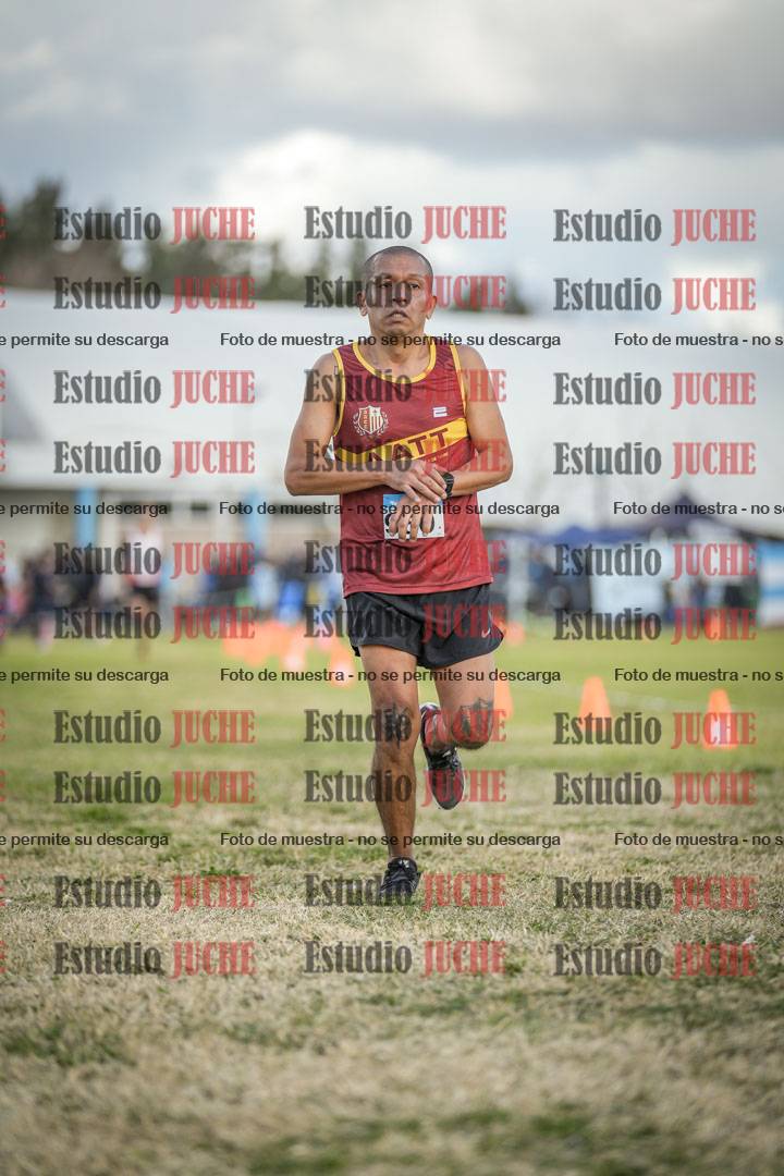 Fotos de las llegadas