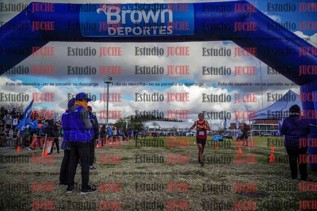 Fotos de las llegadas