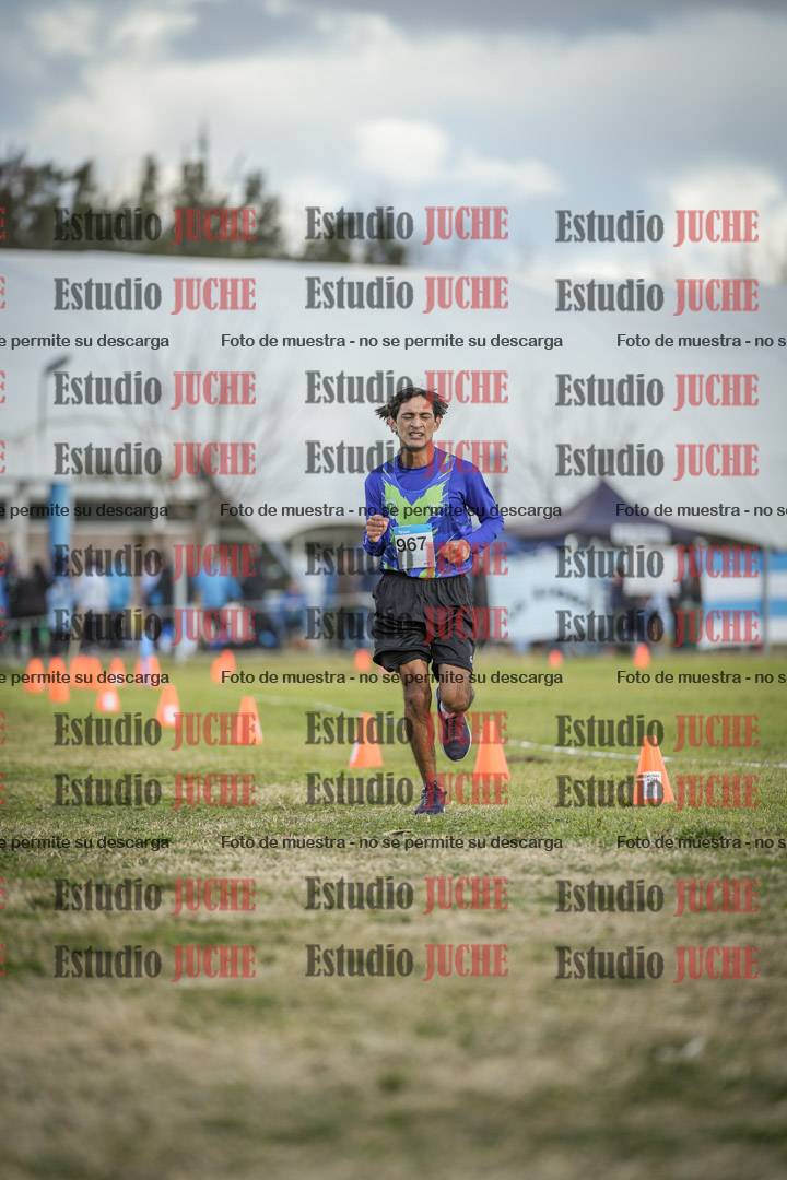 Fotos de las llegadas