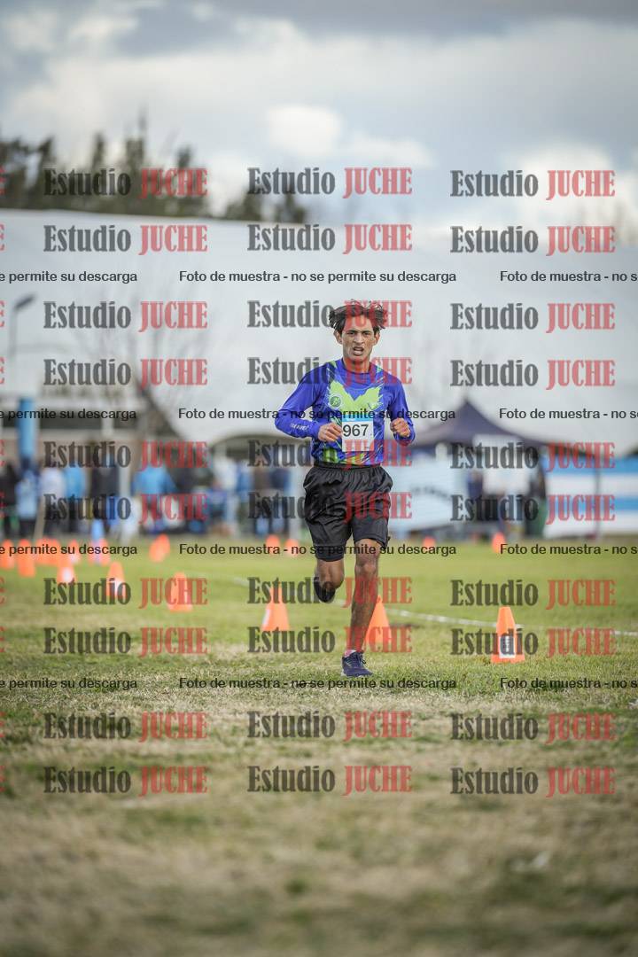 Fotos de las llegadas