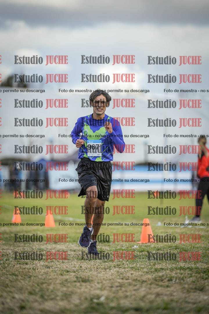 Fotos de las llegadas
