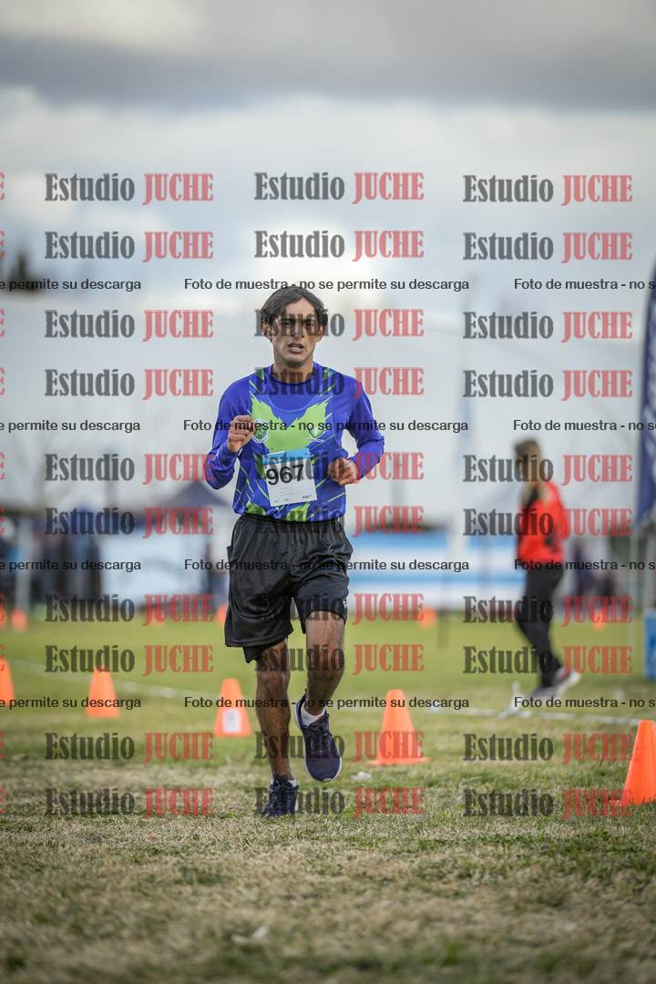 Fotos de las llegadas